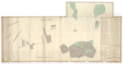 1268 Kaart van het erve Oink, gelegen in Deldenerbroek in het gericht Delden/S. van Beinum. - schaal in Rijnl. roeden [ ...