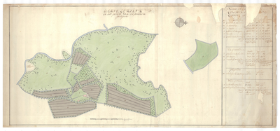 1272 Kaart van het erve Leusink, gelegen in het gericht Diepenheim. - . - schaal in Rijnl. roeden [ ca. 1 : 2.000]. ca. ...