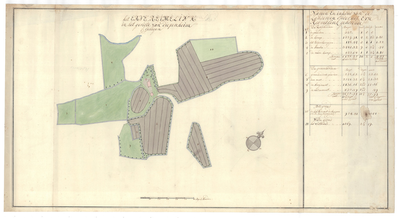 1274 Kaart van het erve Reimelink, gelegen in het gericht Diepenheim. - . - schaal in Rijnl. roeden [ ca. 1 : 2.000]. ...