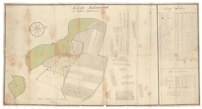 1311 Kaart van het Scholte Splinterink, gelegen in Oude Ootmarsum in het gericht Ootmarsum/G.W. Ameling. - schaal in ...