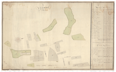 1314 Kaart van het erve Poppink, gelegen in Reutum in het gericht Ootmarsum/G.W. Ameling. - schaal in Rijnl. roeden [ ...