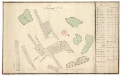 1317 Kaart van het erve Lammertink, gelegen in Lemselo in het gericht Oldenzaal [thans gemeente Weerselo]/G.W. Ameling. ...