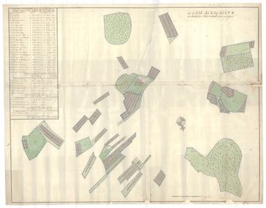 1327 Kaart van het erve Rikkerdink, gelegen in Boekelo in het gericht Haaksbergen. - . -schaal in Rijnl. roeden [ ca. 1 ...