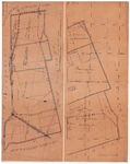 19224-8.2 Dalfsen 2 [en] Nieuwleusen 36 Twee kaarten op een vel. Links gemeente Nieuwlesen (nummer 36) en rechts ...