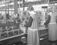 18396 FDHEEMAF3511011 Inpakken van SBIK (Schiele & Bruchsaler - Industriewerke) schakelaars, 1935-11-01