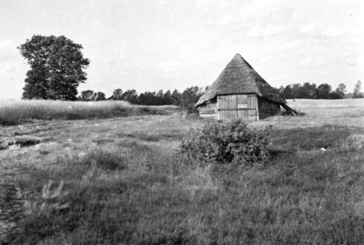 24531 FDHEEMAFF 411 Schaapskooi op de Rijsserberg. De foto is bestemd voor de wandkalender 1940, 1939-09-07