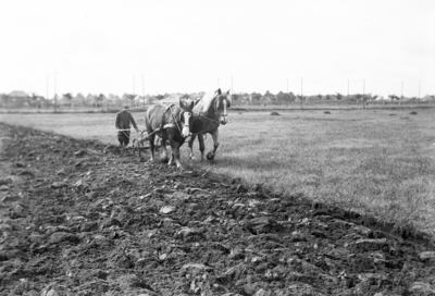 24651 FDHEEMAFF 462 Ploegen op het HEEMAF terrein met een ploeg met twee paarden, 1940-10-01
