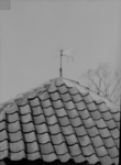 156 Zwolle: Opname van de nok van een dak met daarop een windwijzer in de vorm van een paard (op een huis aan de Menno ...