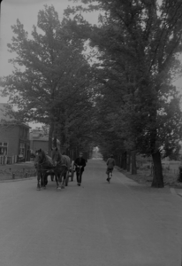 53 Goor: opname van een landweggetje met bomen, met een wagen met paarden en een fietser, en huizen op de achtergrond., ...