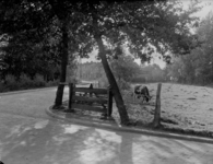 63 Hengelo: opname van een stukje weiland met een koe net buiten de stad; op de achtergrond zijn huizen te zien., 1935-10-18