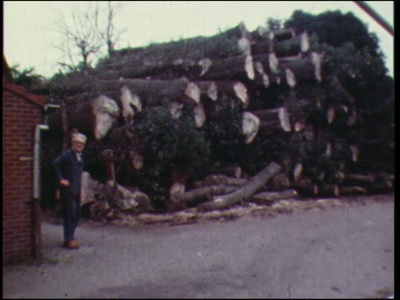 11554BB02934 Een film met diverse beelden van o.a. een man bij een stapel boomstammen op een houtzagerij, een rit met ...