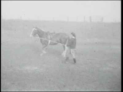 13774BB02604 Film over de paardensport. Beelden van de Landelijke Rijvereniging Rijden is een Kunst in ...