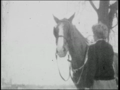 13777BB02607 Dalfsen: paard met arrenslee in de sneeuw; paardrijden in de sneeuw.Chalet 1963: wintersport, langlaufen ...