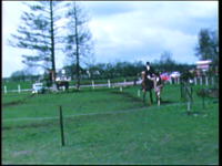 2652BB05624 Diverse beelden van o.a. een paardenconcours en paarden in de wei, een optocht in Urk ter gelegenheid van ...