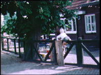 2655BB05627 Familiefilm met beelden van een jongen spelend op straat en thuis in de tuin., 00-00-1970