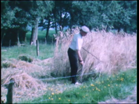 4266BB03826 Een film rond de oogst van rogge, met beelden van het maaien, opbinden en het opzetten van schoven.