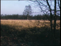 4389BB06438 Een film over het natuurreservaat Aamsveen door de seizoenen heen, met beelden van hoogveen, heidevelden, ...