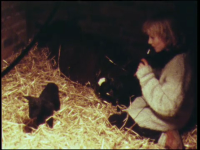 444BB06768 Privéfilm van de familie Staal met beelden van een meisje dat commentaar geeft bij de geitjes, paardrijden ...