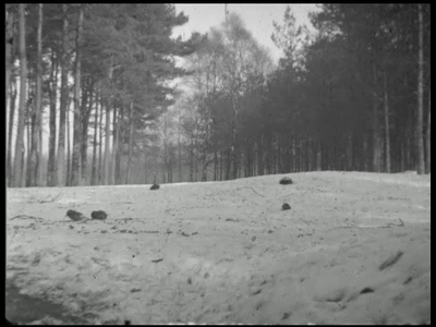 7147BB04473 Een film met de volgende beelden;- De Holterberg in de winter met reeën;- Een jager vindt een dode kerkuil, ...