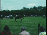 8394BB06702 Een film rondom het thema paardensport, met beelden van concours hippique's; het springen met en het mennen ...
