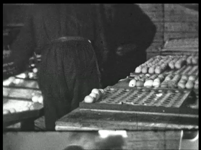9817BB02183 Een film, eind jaren dertig, rond de werkzaamheden bij het eierverwerkingsbedrijf van de Oostelijke ...