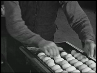 9827BB02193 Een film over het automatisch stempelen en inpakken van eieren bij een eierverwerkingsbedrijf te Coevorden