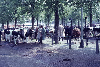 28623 DIA026368 Opname in Zwolle, 1960-1980
