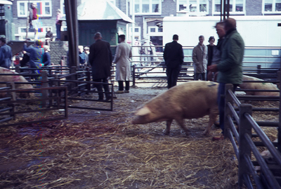 28634 DIA026379 Opname in Zwolle, 1960-1980