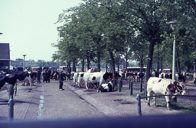28638 DIA026383 Opname in Zwolle, 1960-1980
