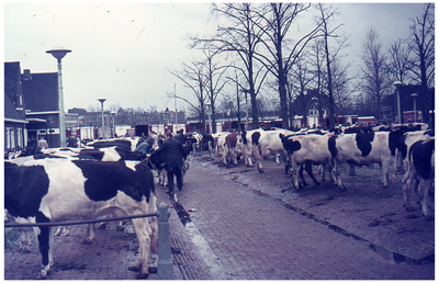 28667 DIA034439 Opname in Zwolle, 1970-1975