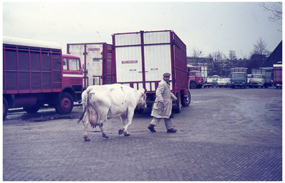 28668 DIA034440 Opname in Zwolle, 1970-1975