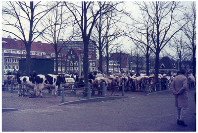 28671 DIA034443 Opname in Zwolle, 1970-1975