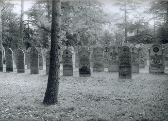 10164 FD008181-03 Kuyerhuislaan: Joodse begraafplaats in 1986 (wijk Herfte). Overzicht van de grafstenen van achter het ...