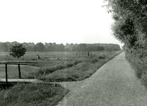 6176 FD011131 Parallelweg gezien vanaf de stad uit het noorden naar de IJssel., 1972