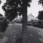 8171 FD000929-02 Beltenweg in Westenholte., 1978