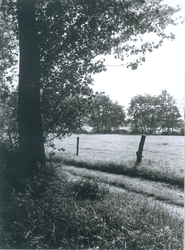 8589 FD012957 Schellerbergweg 18: gezicht vanaf het verlengde van de Bosweg, gezien naar het oosten., 1972