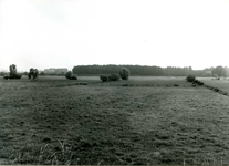 9182 FD012996 Schellerenkweg naar het bos tussen landgoed Schellerberg en de spoorlijn (links). , 1972
