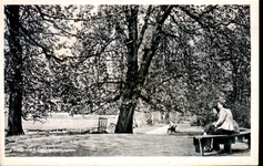 1381 PBKR5491 Park Eekhout, ca. 1948, 1948-00-00
