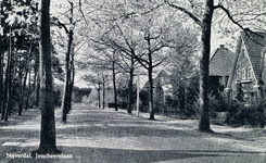 2235 PBKR5639 Laan met beiderzijds bomen langs het asfalt, aan de rechterzijde een aantal villa's., 1950-00-00