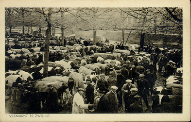 4964 PBKR2649 Veemarkt op de Harm Smeengekade (toen Beestenmarkt), ca. 1925. De markt staat vol met vee. Boeren ...