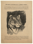 69 -TP001024 Afbeelding van een tijger.