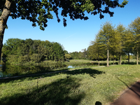 401 Het middeneiland van het Wezenlandenpark in Zwolle, waar het normaal enorm druk is als het Bevrijdingsfestival ...
