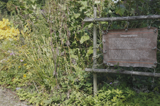 806619 Afbeelding van een informatiebord over de langgrasprairies in de Botanische Tuinen van de Universiteit Utrecht ...