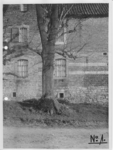 35642 Westzijde van Hoeve Corisberg, 11-01-1926.