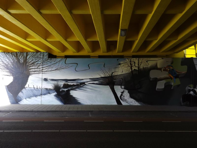 9718-4 Graffiti viaduct Valkenburgerweg