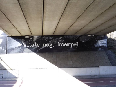 9716-5 Graffiti viaduct Looierstraat