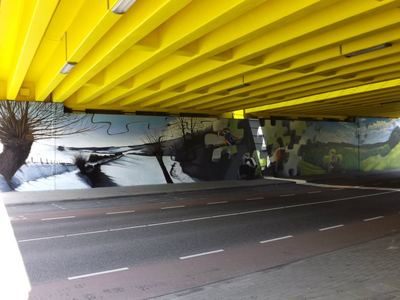 9718-3 Graffiti viaduct Valkenburgerweg