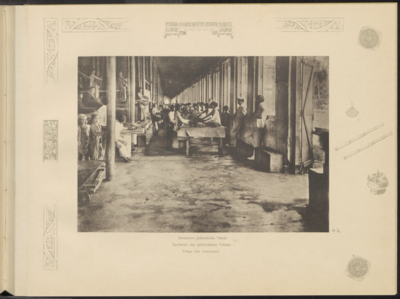 5100 -0042 Het sorteren van gebundelde tabak in een fermenteerschuur van de Landbouw Maatschappij Oud-Djember, 1894 - 1909
