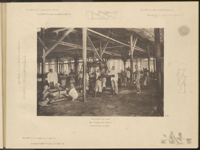 5100 -0043 Het persen van tabak in een fermenteerschuur van de Landbouw Maatschappij Oud-Djember, 1894 - 1909