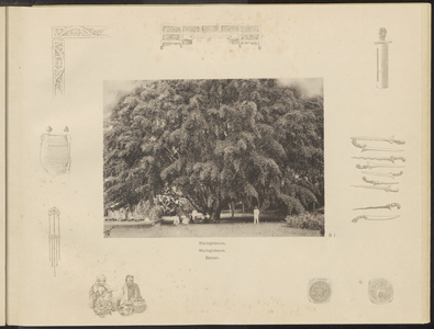 5100 -0061 Leden van de familie Birnie onder een waringinboom, 1894 - 1909
